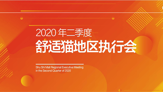 凝聚力量，坚定前行——舒适猫2020年第二季度地区执行会