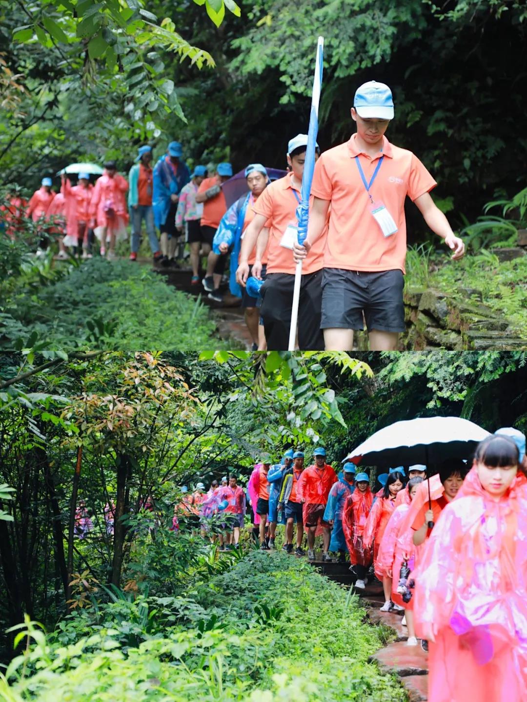 1769405641772248.jpg 4.jpg