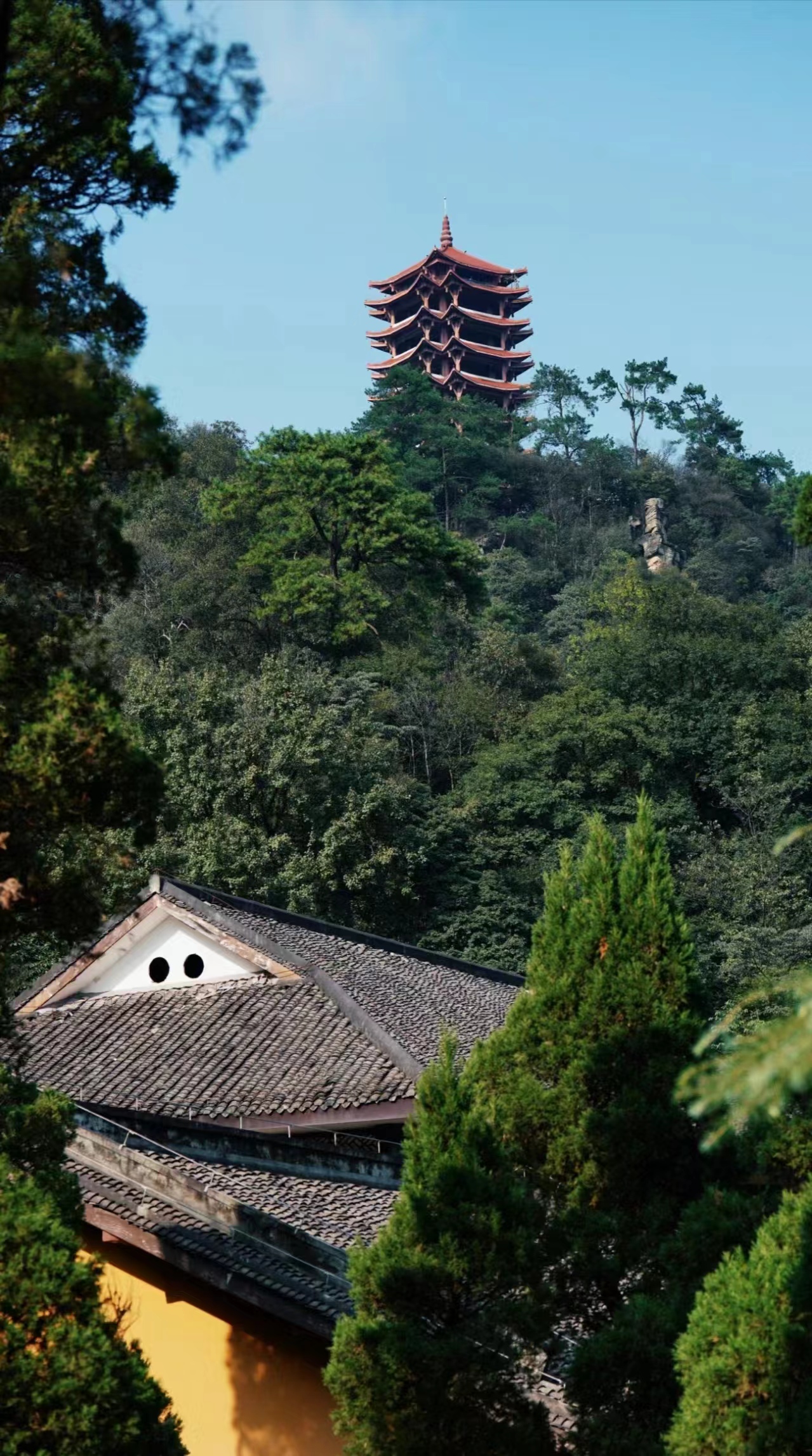 1769484070163305.jpg 11.jpg