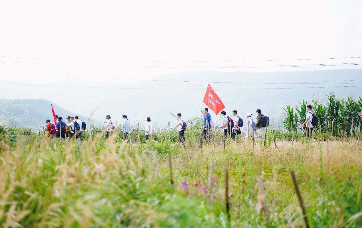 1769484144134284.png 19.png